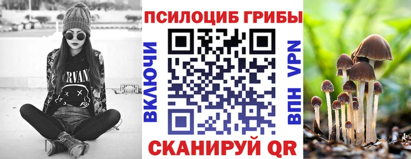 где купить наркоту  Усть-Катав  kraken маркетплейс  Галлюциногенные грибы мицелий 